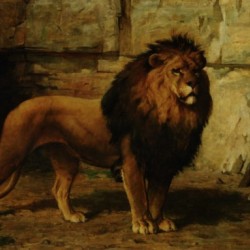 Lion Guarding His Den